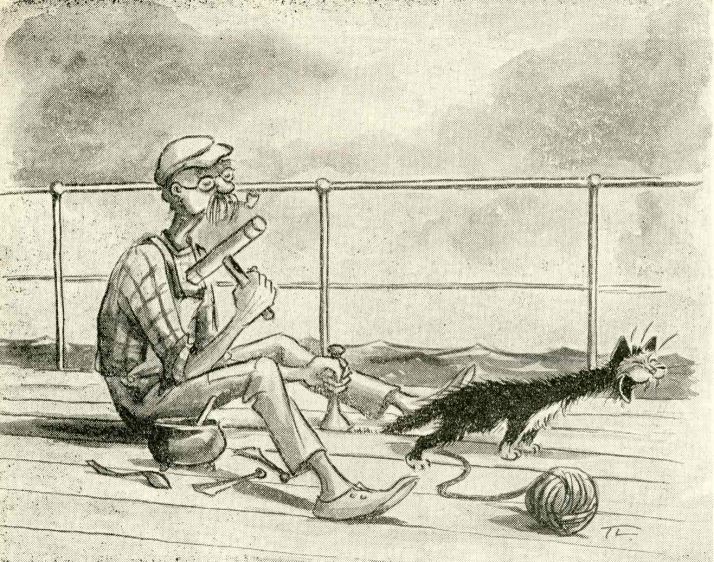 Image28849__fieldImage