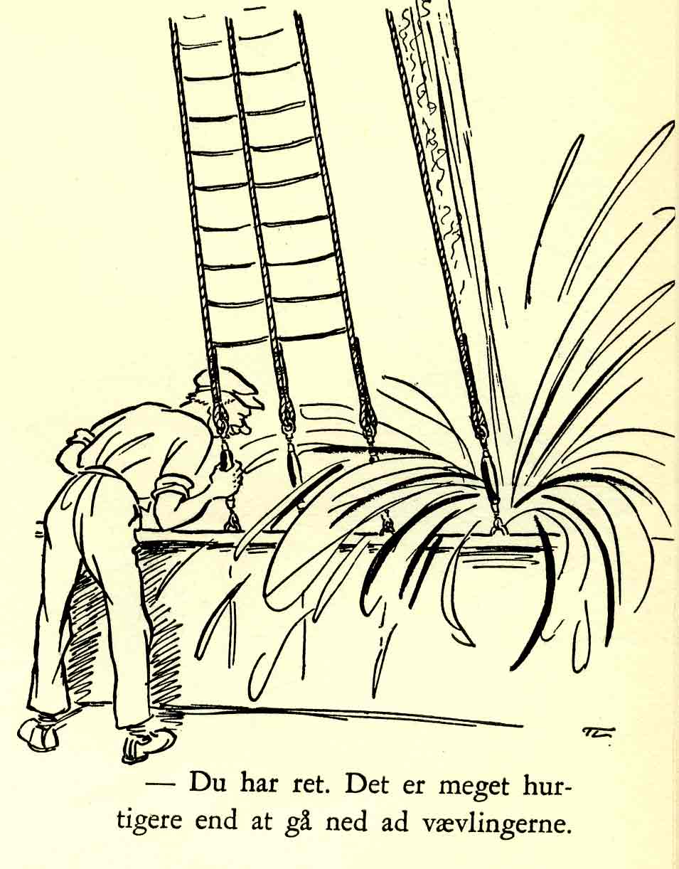 Image29163__fieldImage