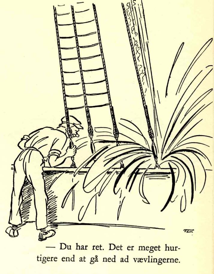 Image29163__fieldImage