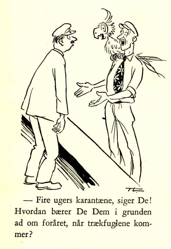 Image29251__fieldImage