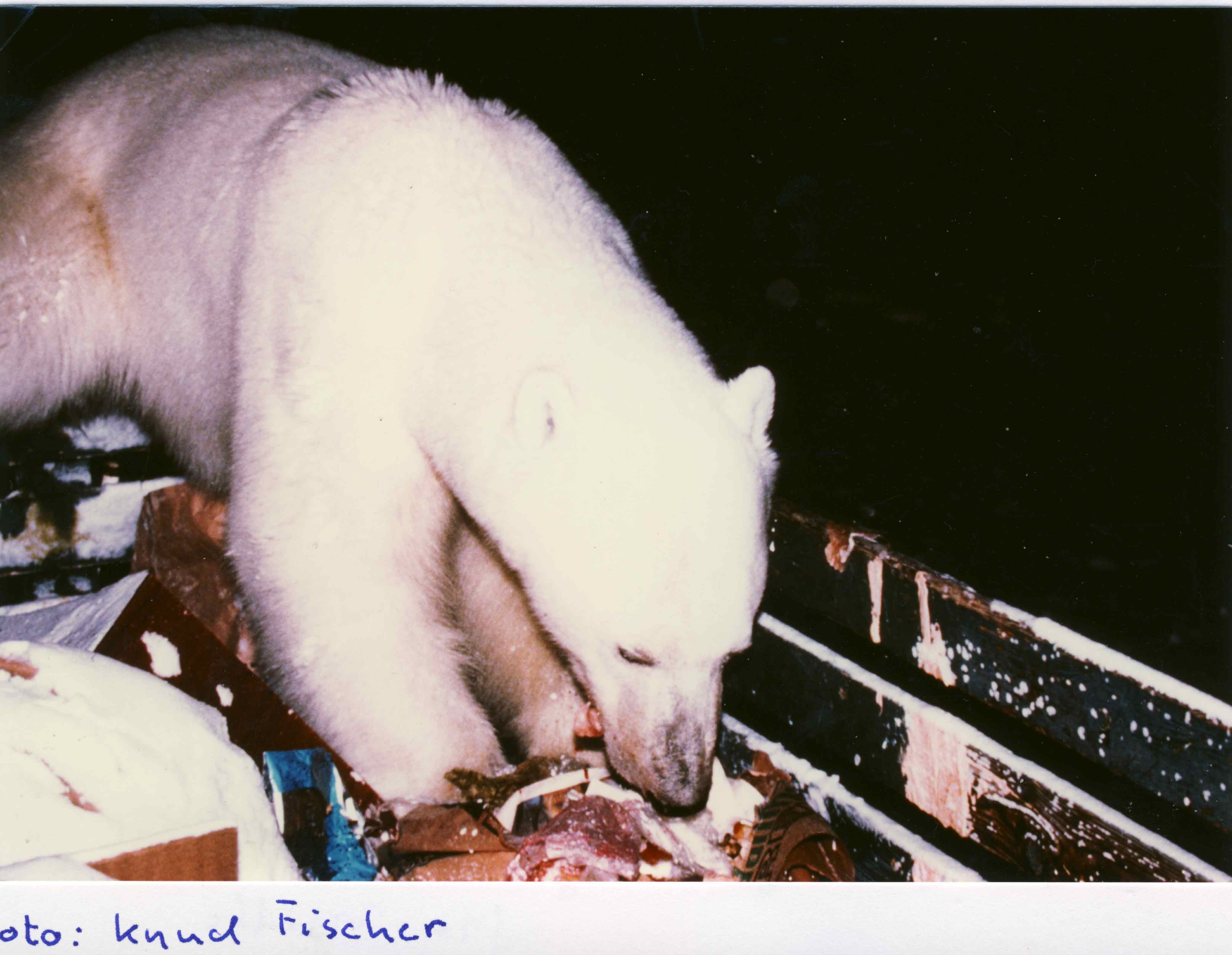 Knud Fischer 01